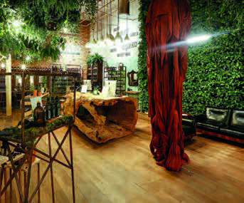 Development of a “Beauty ECOSYSTEM” – Grupo Laces and their sustainable solutionswhole 4 EC 07222