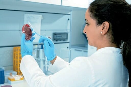 Phage Technologies for Skincare 5 phage technology lap at lysando ag