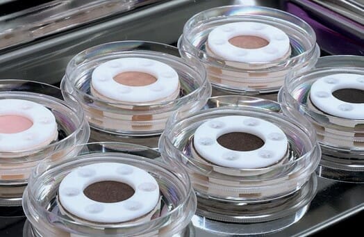 Phage Technologies for Skincare 7 tenskin