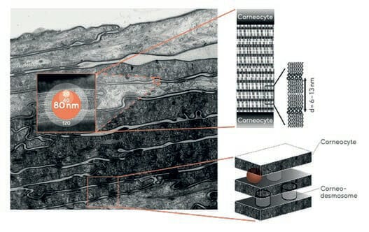 EURO COSMETICS Magazine • NANO means BIG! • Uli Osterwalder • Uli Osterwalder