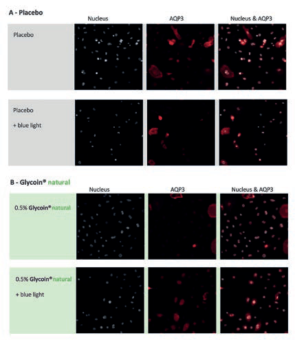 Glycoin® natural 8 image 3