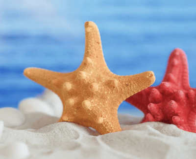 EURO COSMETICS Magazine • Reef-safe sunscreen: environmentalconcern or marketing hype? • Uli Osterwalder • Uli Osterwalder