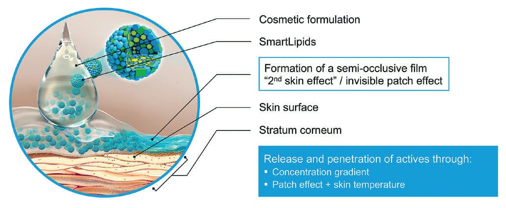 EURO COSMETICS Magazine • The Use of Submicron Lipid Matrix-Encapsulated Actives Offers a Multitude of Advantages for the Overall Performance of Skin Care Formulations • Dr. Sabilla Digel • Dr. Sabilla Digel