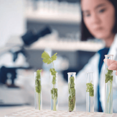 Plant-derived Peptides and Biotechnology