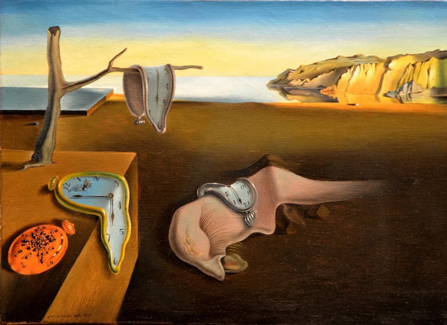 Projection with paintings of skin self-perception 13 la persistencia de la memoria de salvadorDali