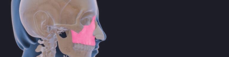 Change in facial morphology with age